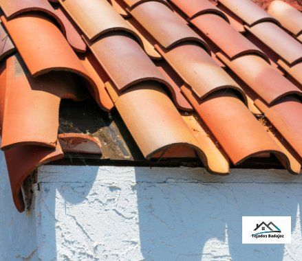 acomodartejasmovidasorotasenbadajoz 1920w