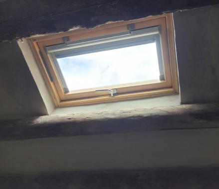 montajedeclaraboyasenmerida badajoz 1920w